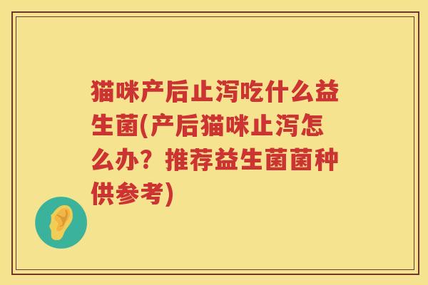 猫咪产后止泻吃什么益生菌(产后猫咪止泻怎么办？推荐益生菌菌种供参考)