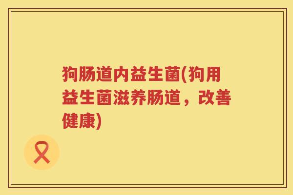 狗肠道内益生菌(狗用益生菌滋养肠道，改善健康)