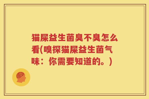 猫屎益生菌臭不臭怎么看(嗅探猫屎益生菌气味：你需要知道的。)
