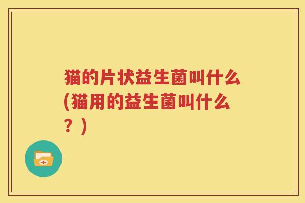 猫的片状益生菌叫什么(猫用的益生菌叫什么？)