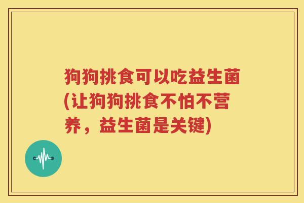 狗狗挑食可以吃益生菌(让狗狗挑食不怕不营养，益生菌是关键)