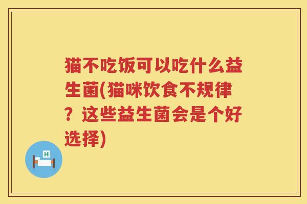 猫不吃饭可以吃什么益生菌(猫咪饮食不规律？这些益生菌会是个好选择)