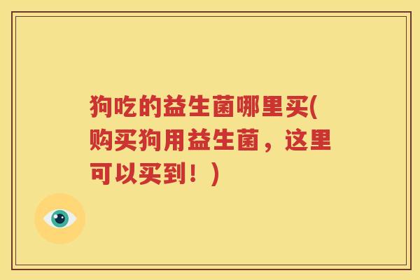 狗吃的益生菌哪里买(购买狗用益生菌，这里可以买到！)