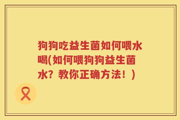 狗狗吃益生菌如何喂水喝(如何喂狗狗益生菌水？教你正确方法！)