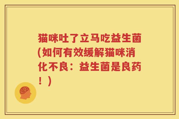 猫咪吐了立马吃益生菌(如何有效缓解猫咪消化不良：益生菌是良药！)