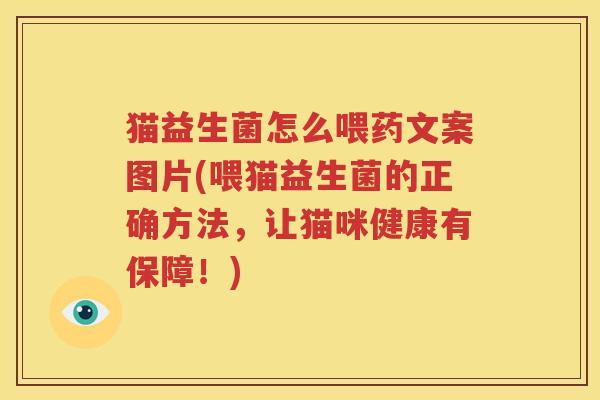 猫益生菌怎么喂药文案图片(喂猫益生菌的正确方法，让猫咪健康有保障！)