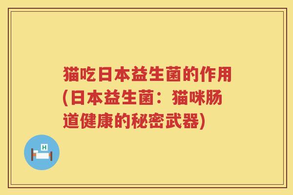 猫吃日本益生菌的作用(日本益生菌：猫咪肠道健康的秘密武器)