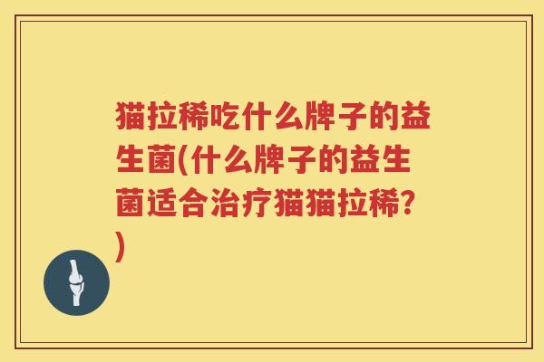 猫拉稀吃什么牌子的益生菌(什么牌子的益生菌适合治疗猫猫拉稀？)