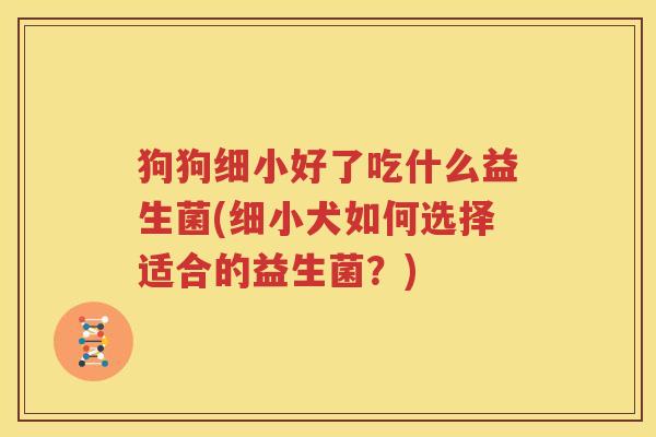 狗狗细小好了吃什么益生菌(细小犬如何选择适合的益生菌？)