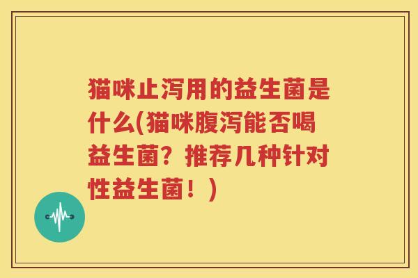 猫咪止泻用的益生菌是什么(猫咪腹泻能否喝益生菌？推荐几种针对性益生菌！)