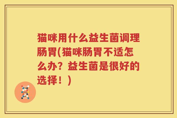 猫咪用什么益生菌调理肠胃(猫咪肠胃不适怎么办？益生菌是很好的选择！)