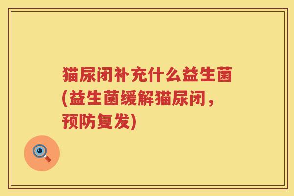 猫尿闭补充什么益生菌(益生菌缓解猫尿闭，预防复发)