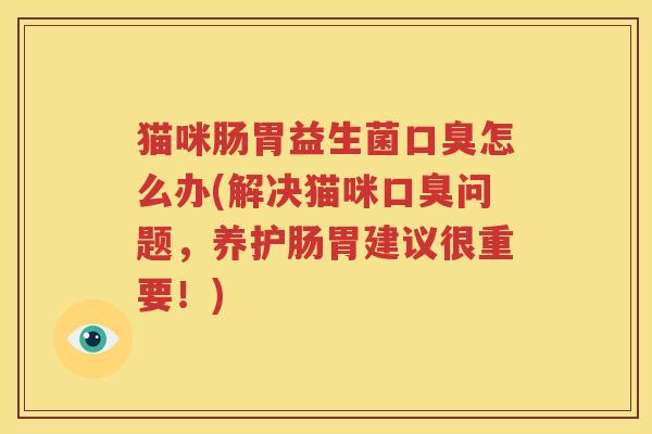 猫咪肠胃益生菌口臭怎么办(解决猫咪口臭问题，养护肠胃建议很重要！)