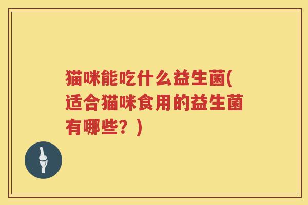 猫咪能吃什么益生菌(适合猫咪食用的益生菌有哪些？)