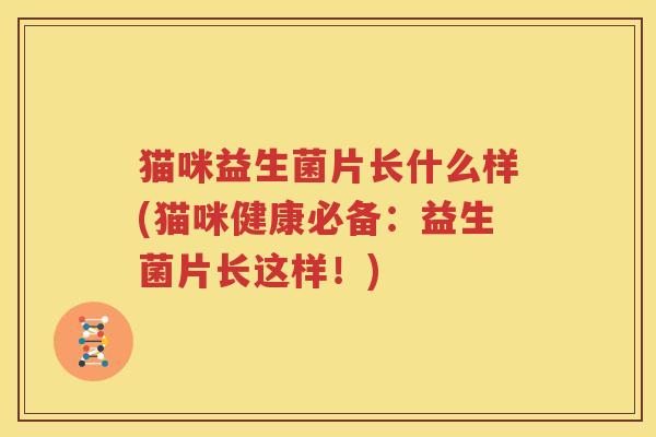 猫咪益生菌片长什么样(猫咪健康必备：益生菌片长这样！)