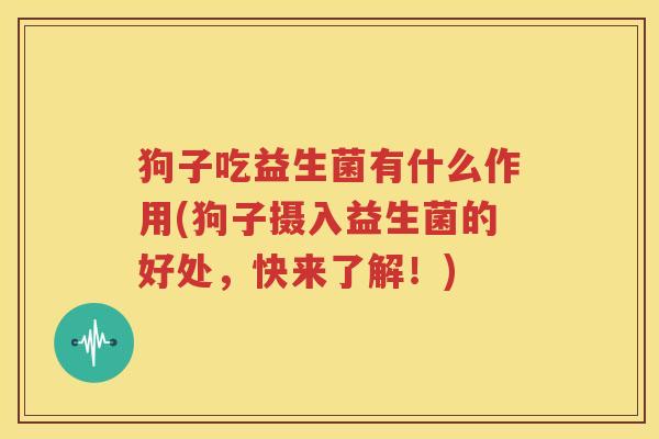 狗子吃益生菌有什么作用(狗子摄入益生菌的好处，快来了解！)