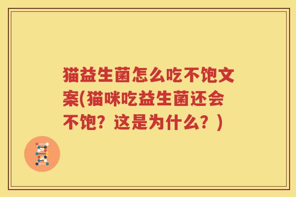 猫益生菌怎么吃不饱文案(猫咪吃益生菌还会不饱？这是为什么？)