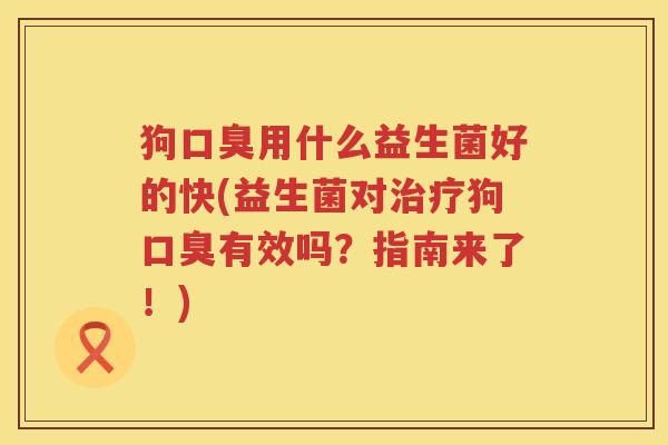 狗口臭用什么益生菌好的快(益生菌对治疗狗口臭有效吗？指南来了！)