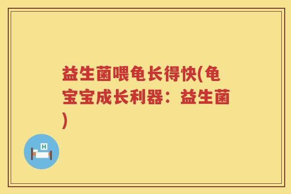 益生菌喂龟长得快(龟宝宝成长利器：益生菌)