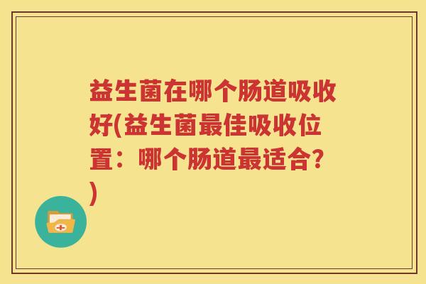 益生菌在哪个肠道吸收好(益生菌最佳吸收位置：哪个肠道最适合？)