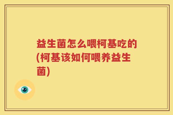 益生菌怎么喂柯基吃的(柯基该如何喂养益生菌)