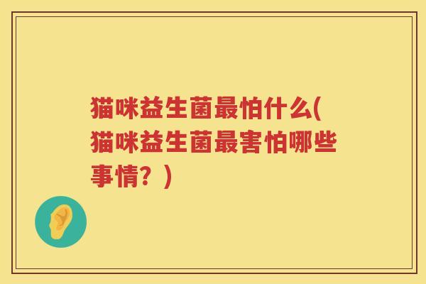 猫咪益生菌最怕什么(猫咪益生菌最害怕哪些事情？)