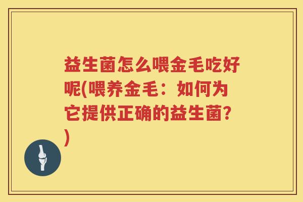 益生菌怎么喂金毛吃好呢(喂养金毛：如何为它提供正确的益生菌？)