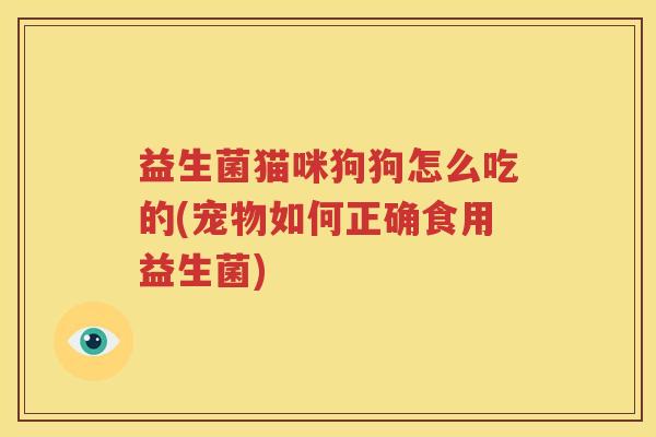 益生菌猫咪狗狗怎么吃的(宠物如何正确食用益生菌)