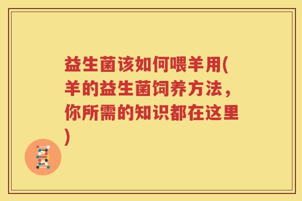 益生菌该如何喂羊用(羊的益生菌饲养方法，你所需的知识都在这里)