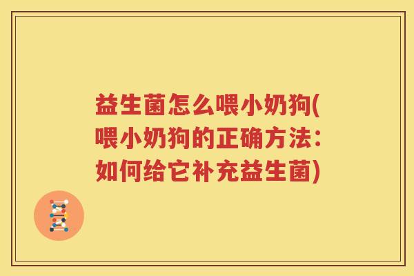 益生菌怎么喂小奶狗(喂小奶狗的正确方法：如何给它补充益生菌)
