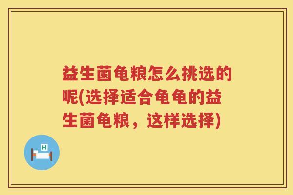益生菌龟粮怎么挑选的呢(选择适合龟龟的益生菌龟粮，这样选择)