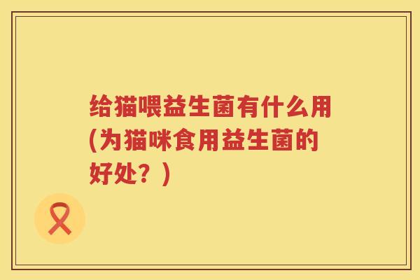 给猫喂益生菌有什么用(为猫咪食用益生菌的好处？)