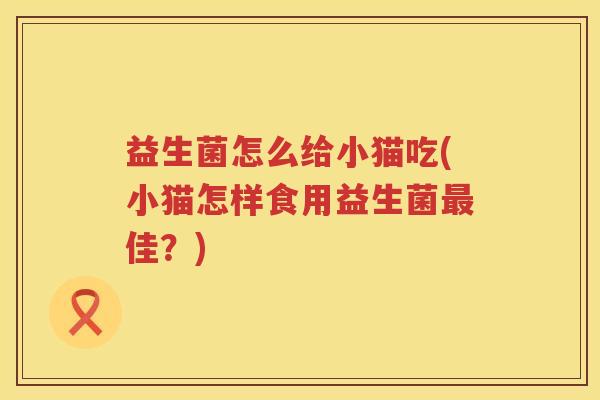 益生菌怎么给小猫吃(小猫怎样食用益生菌最佳？)