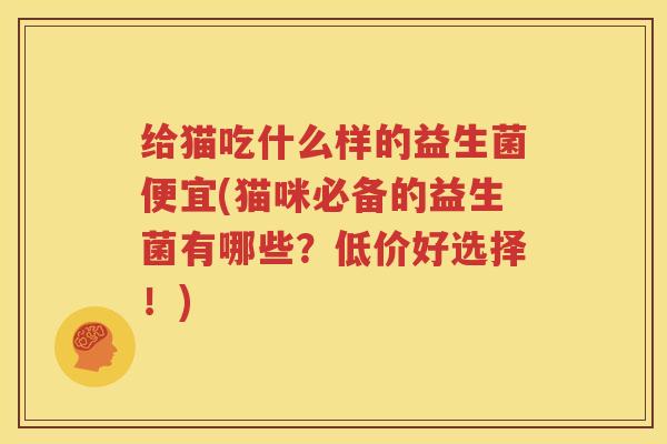 给猫吃什么样的益生菌便宜(猫咪必备的益生菌有哪些？低价好选择！)
