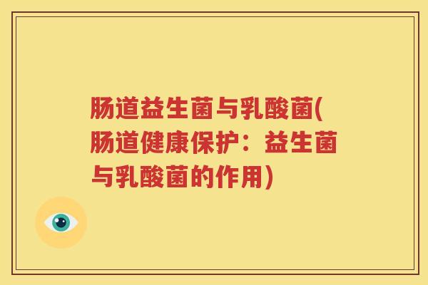 肠道益生菌与乳酸菌(肠道健康保护：益生菌与乳酸菌的作用)