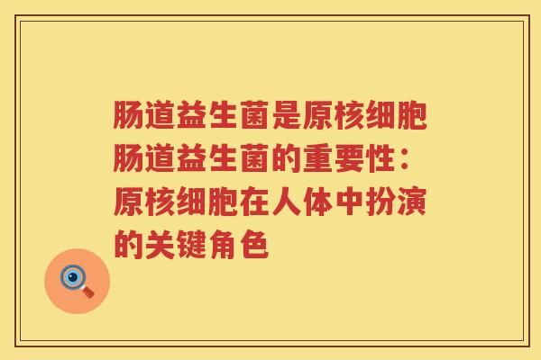 肠道益生菌是原核细胞肠道益生菌的重要性：原核细胞在人体中扮演的关键角色