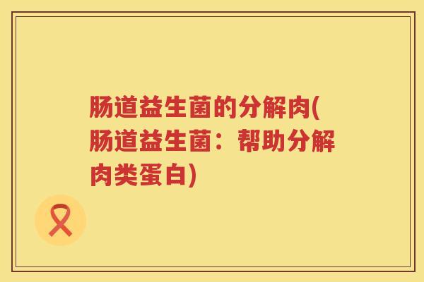 肠道益生菌的分解肉(肠道益生菌：帮助分解肉类蛋白)