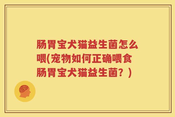 肠胃宝犬猫益生菌怎么喂(宠物如何正确喂食肠胃宝犬猫益生菌？)