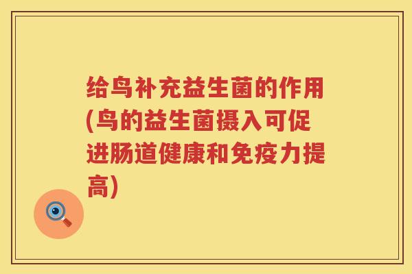 给鸟补充益生菌的作用(鸟的益生菌摄入可促进肠道健康和免疫力提高)