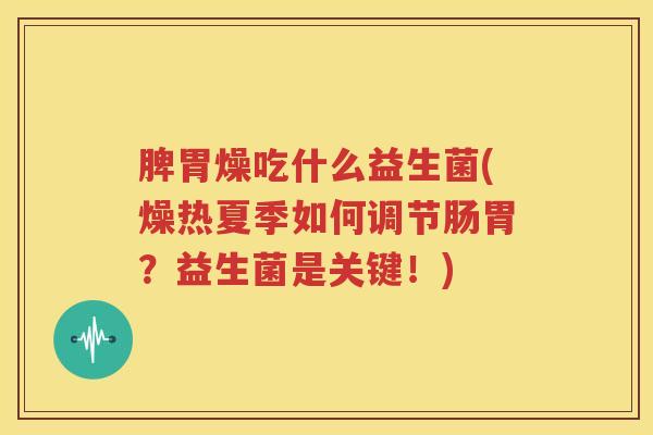 脾胃燥吃什么益生菌(燥热夏季如何调节肠胃？益生菌是关键！)
