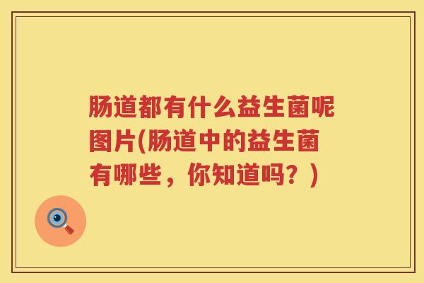 肠道都有什么益生菌呢图片(肠道中的益生菌有哪些，你知道吗？)