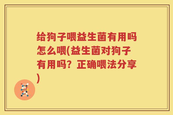 给狗子喂益生菌有用吗怎么喂(益生菌对狗子有用吗？正确喂法分享)