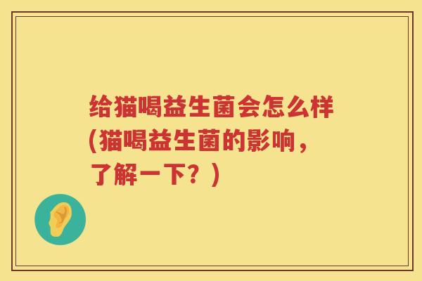 给猫喝益生菌会怎么样(猫喝益生菌的影响，了解一下？)