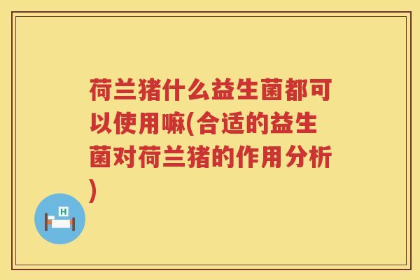 荷兰猪什么益生菌都可以使用嘛(合适的益生菌对荷兰猪的作用分析)