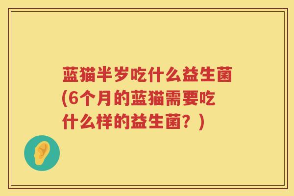 蓝猫半岁吃什么益生菌(6个月的蓝猫需要吃什么样的益生菌？)