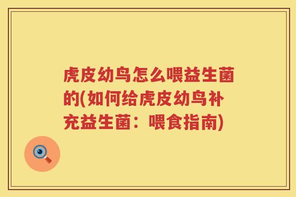 虎皮幼鸟怎么喂益生菌的(如何给虎皮幼鸟补充益生菌：喂食指南)