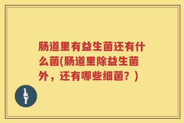 肠道里有益生菌还有什么菌(肠道里除益生菌外，还有哪些细菌？)