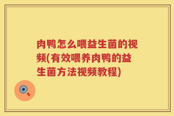 肉鸭怎么喂益生菌的视频(有效喂养肉鸭的益生菌方法视频教程)