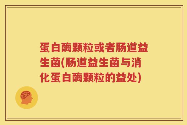 蛋白酶颗粒或者肠道益生菌(肠道益生菌与消化蛋白酶颗粒的益处)