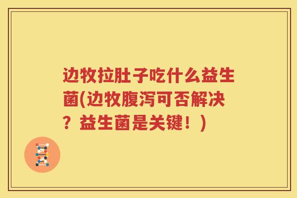 边牧拉肚子吃什么益生菌(边牧腹泻可否解决？益生菌是关键！)
